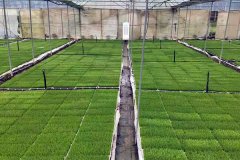 单笼盖周边多个县（市、区）