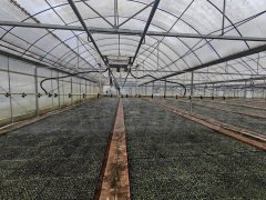 <b>实现水肥一体、平均补水、节水</b>